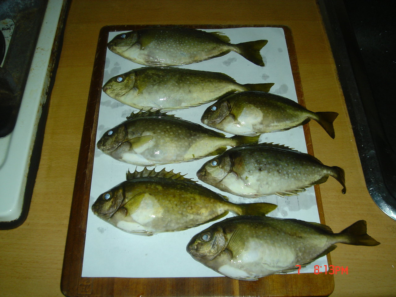 98年5月7日(四)番薯寮 98年5月7日(四)番薯寮