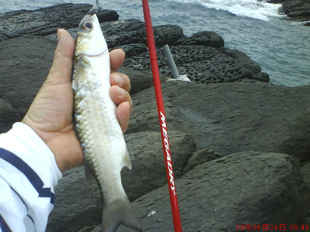 980624(三)大溪 980624(三)大溪