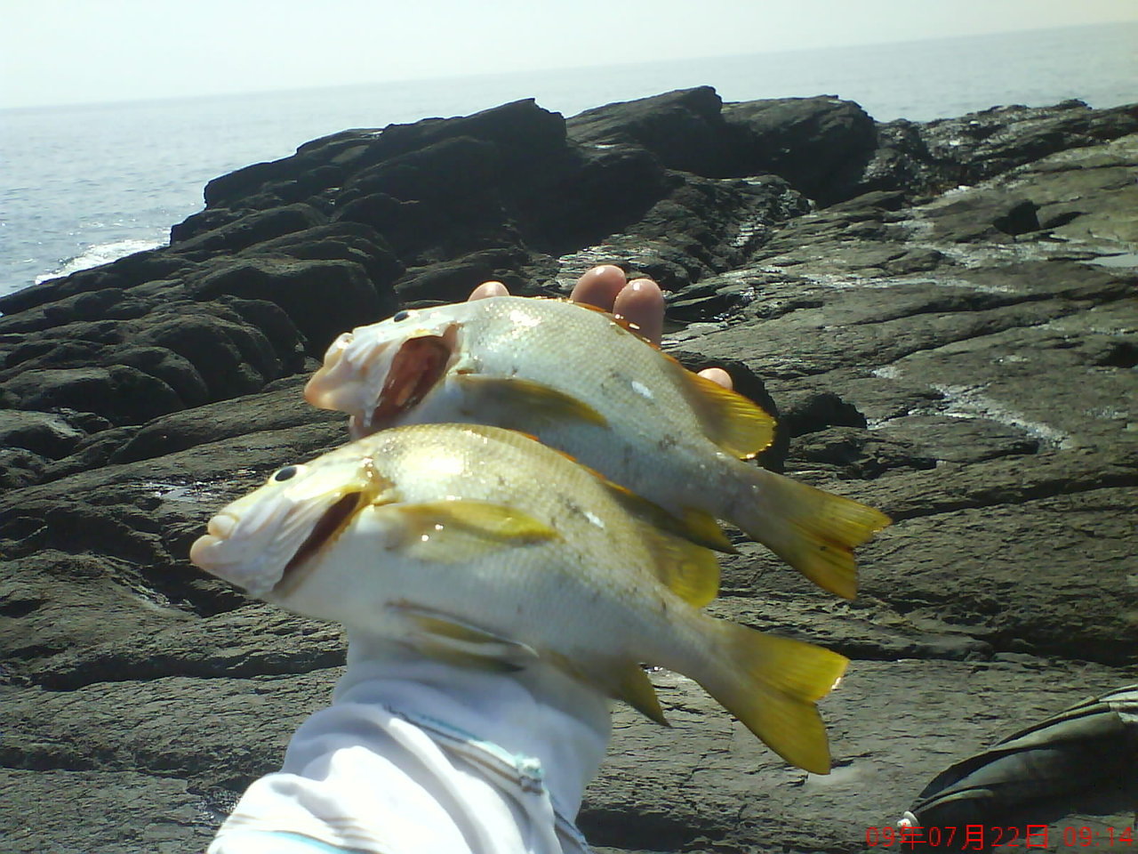 980722(三)大溪及頭城 980722(三)大溪及頭城