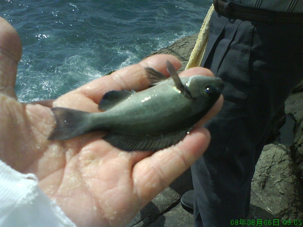 970806(三)北濱鶯歌石112k 970806(三)北濱鶯歌石112k