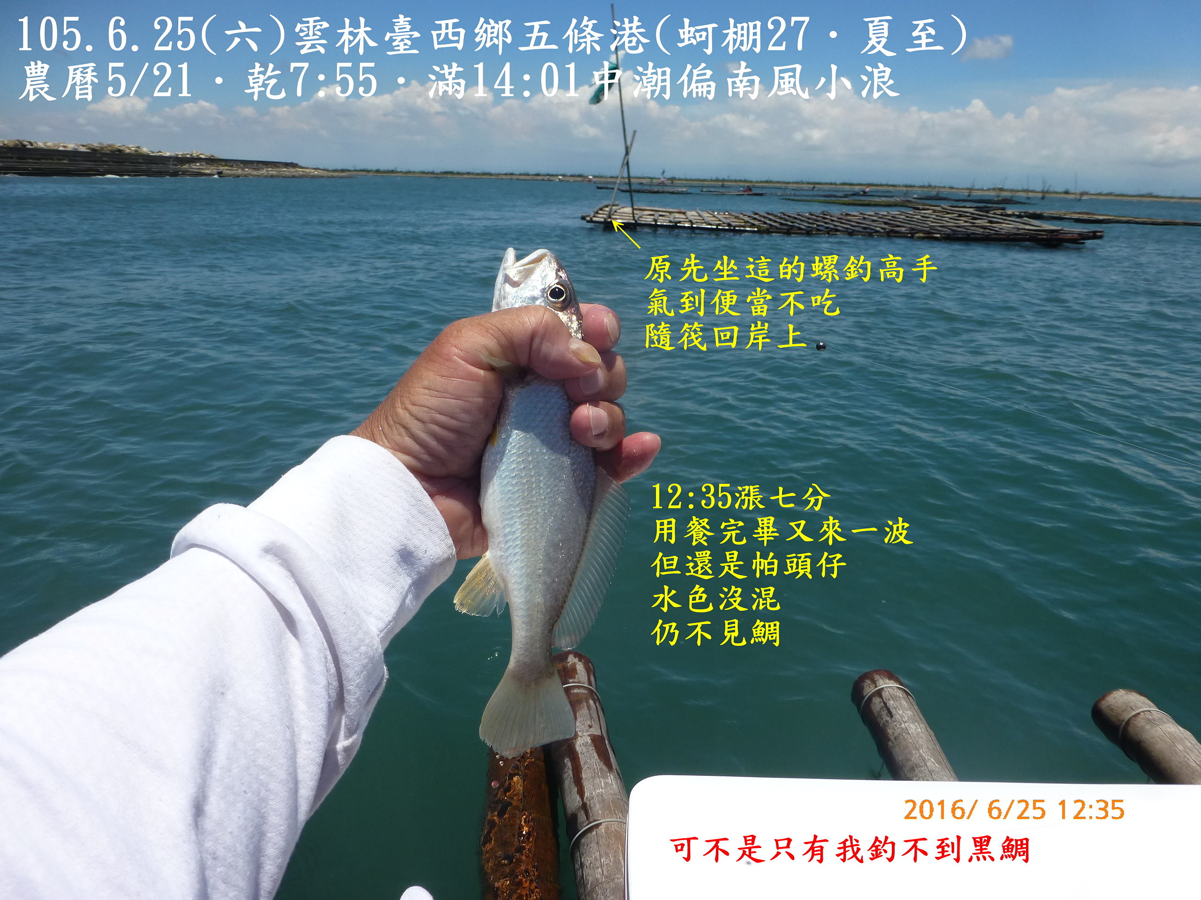 105.6.25(六)雲林臺西鄉五條港(蚵棚27．夏至)